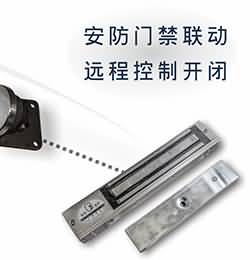 安防门禁电锁